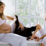 Những vi khuẩn trên mèo có thể gây nguy hiểm cho thai nhi mà mẹ bầu lường hết được.